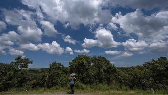 Religious traditions lead to conservation efforts for sacred forests in India
