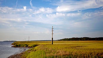 Georgia bill to facilitate return of marshlands to private citizens advances