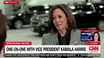 Kamala Harris swats down claims that she's 'incapable,' says most successful women 'have similar experiences'