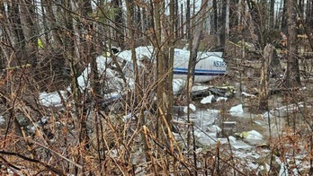 Pilot miraculously survives plane crash near New Hampshire home