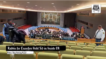 UN slammed for allowing Security Council takeover by Gaza activists: 'Unprecedented defilement'
