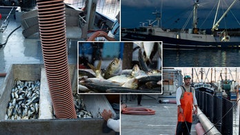 Fishermen await Supreme Court rulings that could change the regulatory authority of federal agencies