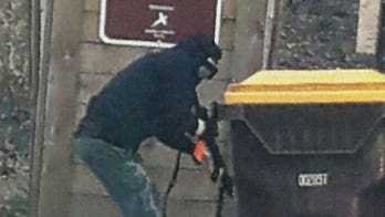 Minnesota man, 21, receives prison sentence after assembling an arsenal to attack police