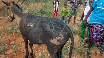 Donkey cart explosion kills Kenyan police officer, injures 4 others