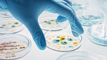 Las superbacterias debidas a la resistencia a los antibióticos podrían matar a 39 millones de personas en 2050, según un amplio estudio