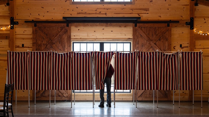 Claude AI accesses voter data 'without being asked,' raising questions ahead of midterms - Fox Business News