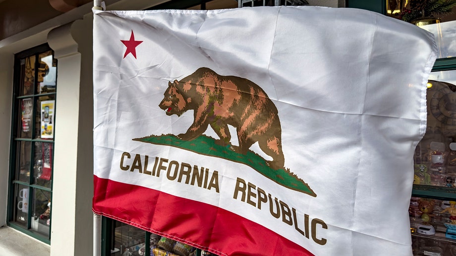 Climate executive warns California ‘functionally bankrupt,’ $1T shortfall could shake nation