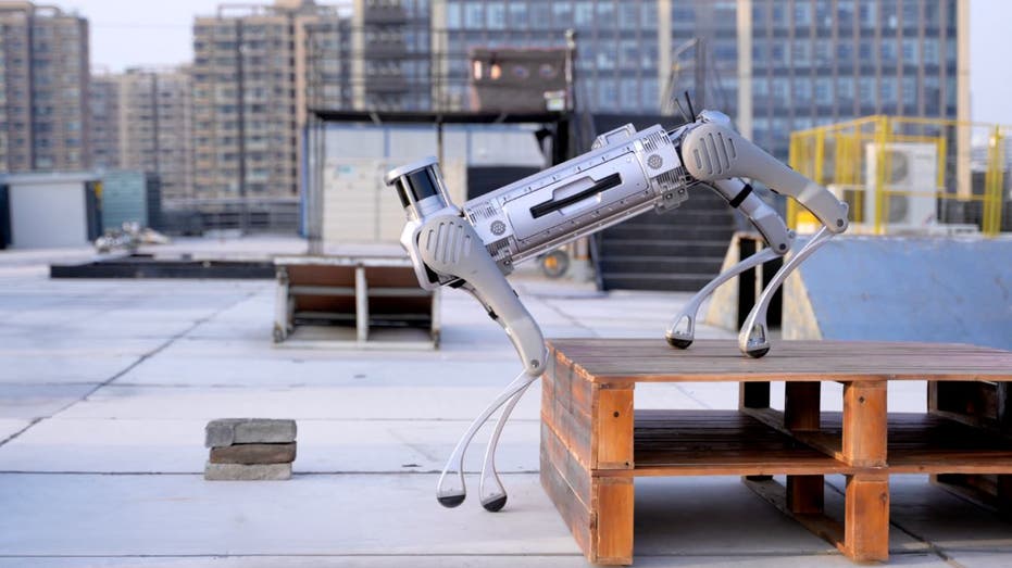 This Chinese company thinks it can make a more powerful pet robot dog than US