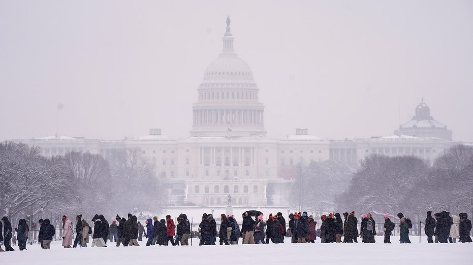 Pro-life demonstrators brave DC snow for 2024 March for Life