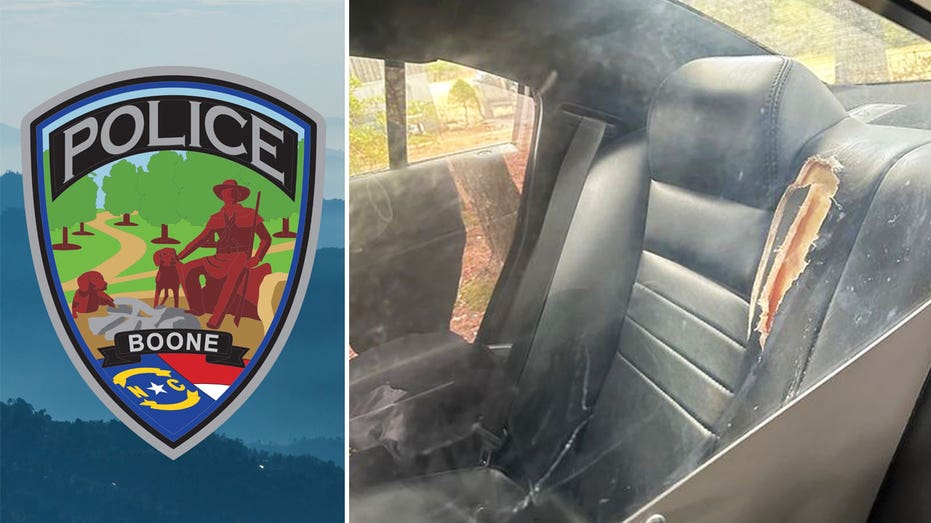 'Angry' woman bites and chews through seat of police cruiser after arrest in North Carolina