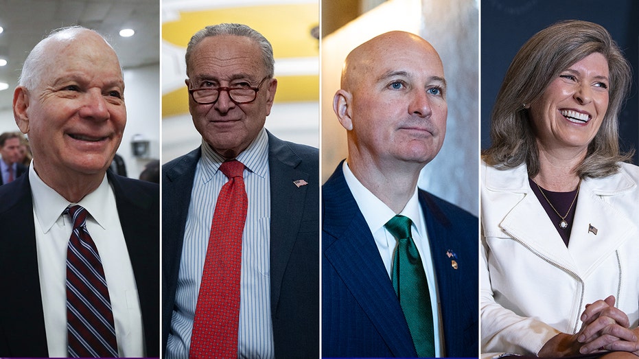 Families plead alongside bipartisan group of senators more action to release hostages held by Hamas
