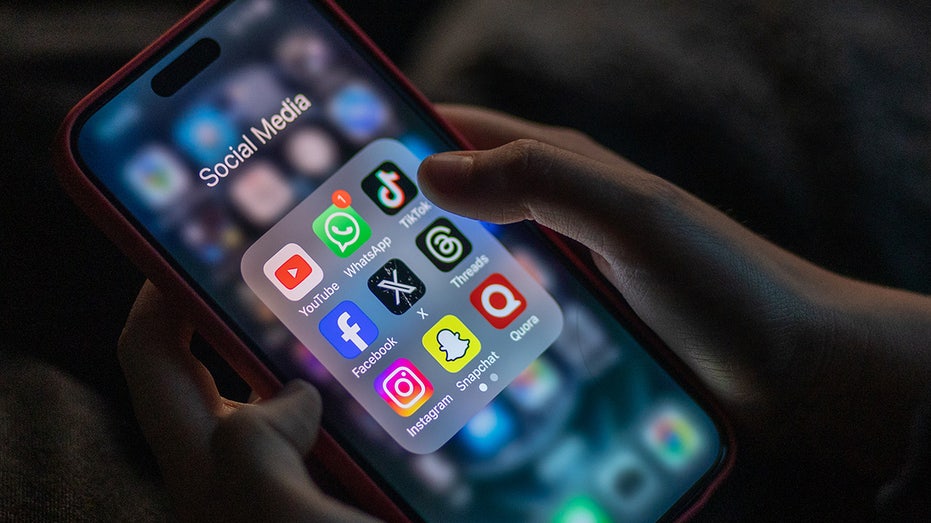 Florida House passes bill banning children under 16 from social media: ‘Kids can’t stay off the platforms’