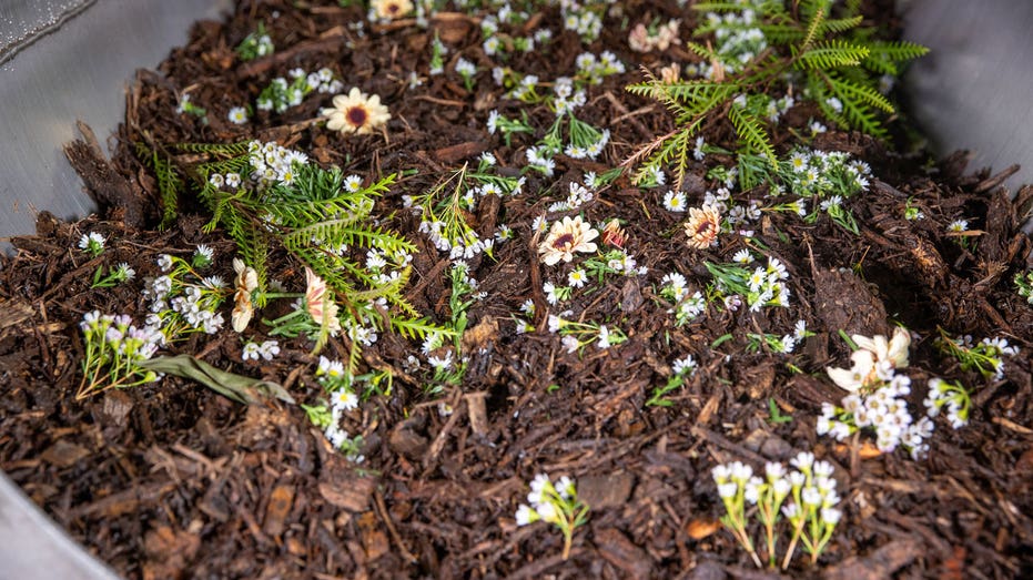 Delaware House passes ‘human composting’ bill with broad support