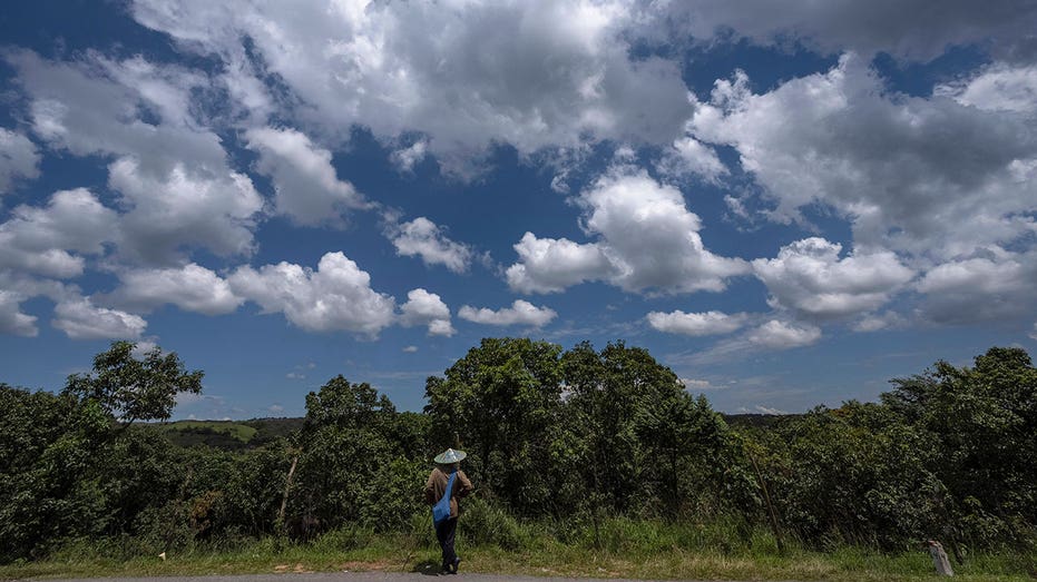 Religious traditions lead to conservation efforts for sacred forests in India