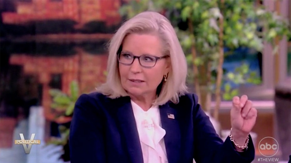 Liz Cheney won't commit to voting for Joe Biden in 'View' appearance, but will 'never' vote for Trump