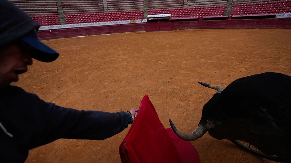 Mexico City prepares to resume bullfighting after highest court overturns ban