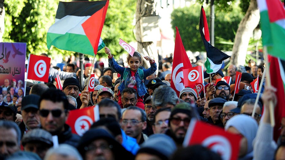 Tunisians protest President Kais Saied for 'democratic backsliding' on anniversary of 2011 revolution