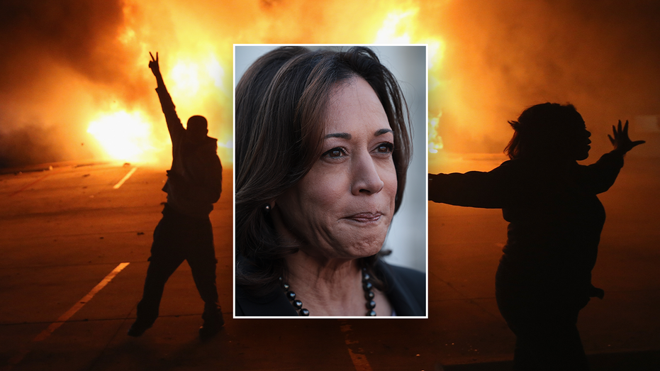 VP Harris compares often violent Ferguson protests to Civil War’s fight for ‘promise of freedom’