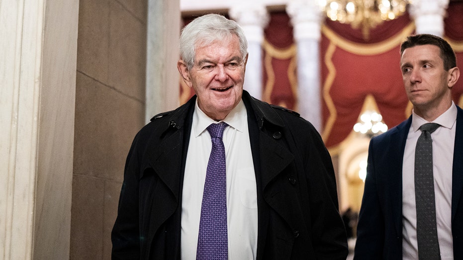 Gingrich tells House GOP to 'stand firm' as Senate negotiates border deal