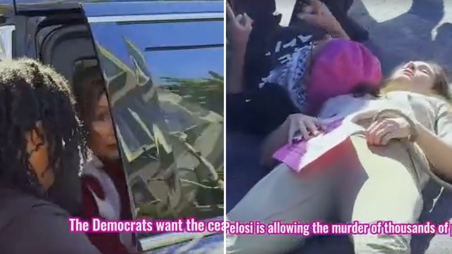 Pelosi faces backlash for demanding swarming protesters ‘go back to China’: ‘Slanderous accusations’