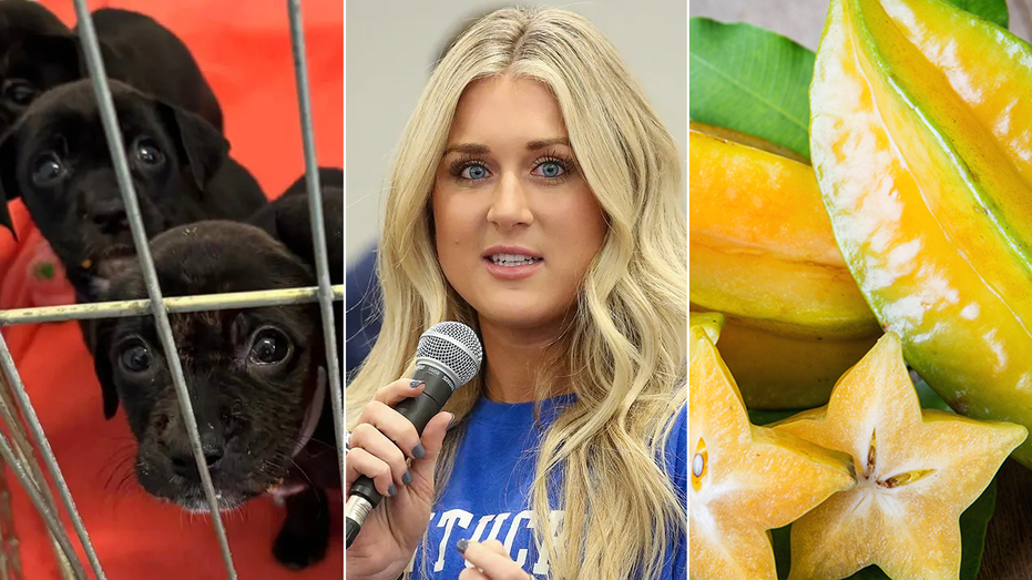 Weekend read: Best stories of the week in Lifestyle in case you missed them