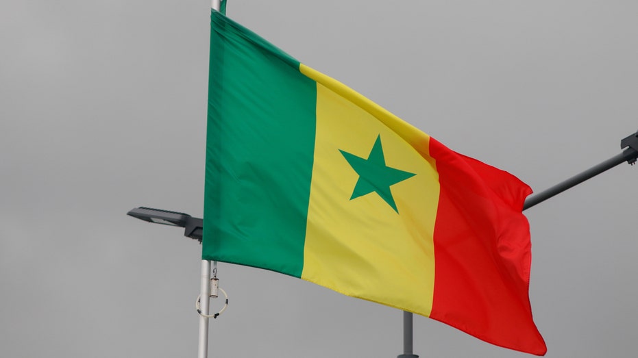 Ex-leader's son renounces French nationality to run for president of Senegal