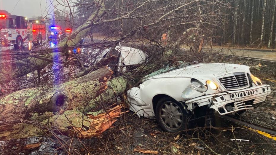 78-year-old man dies after tree crushes car during deadly storm