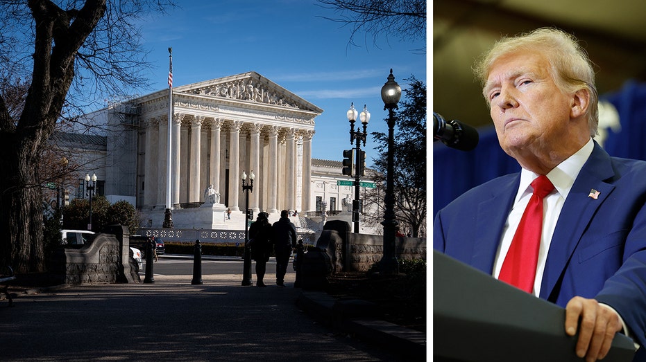 Trump backed by 27 states in Supreme Court fight, who warn of 2024 'chaos' if he's removed from ballot