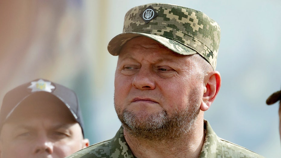 Rumors that Ukraine's top commander may be dismissed expose rifts in Ukraine top brass