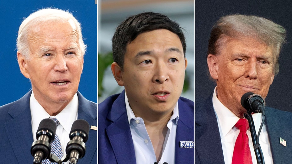 Andrew Yang casts doubt on Biden's chances to beat Trump, calls age a 'massive handicap': 'Wrong candidate'