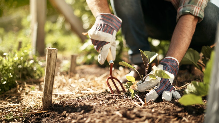 Already thinking about spring? These 10 garden items can help you prepare