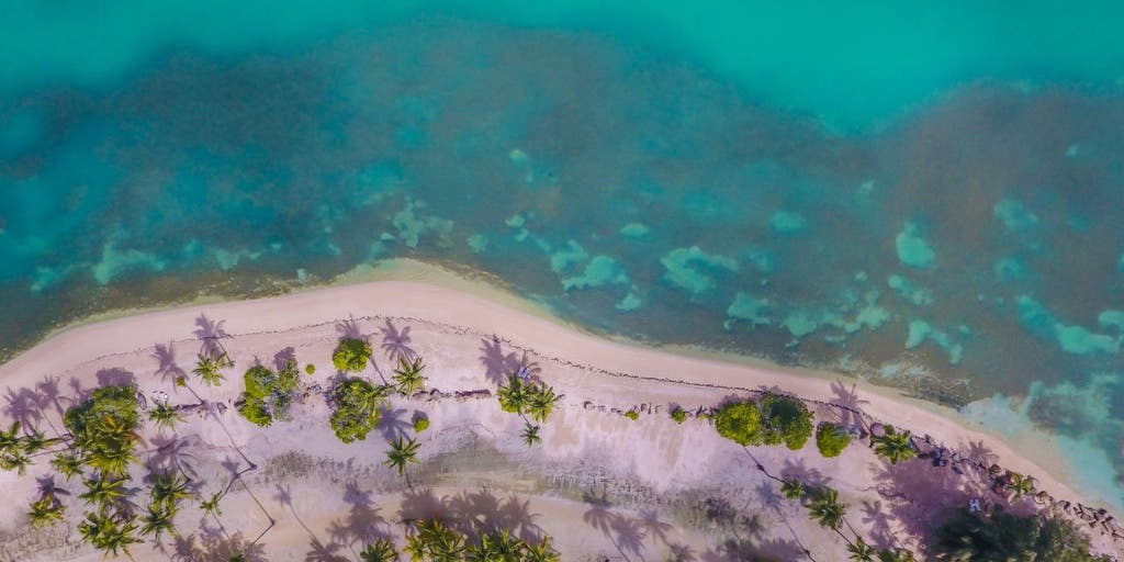 The ultimate status symbol: billionaires' quest for private islands - Vimarsana News
