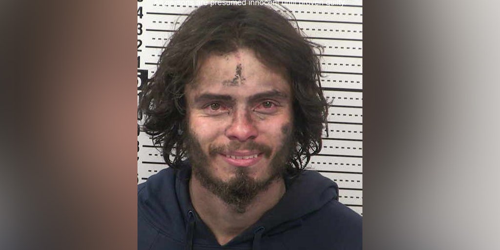 Mugshots of the week: Feb. 11-17, 2024 - Vimarsana News