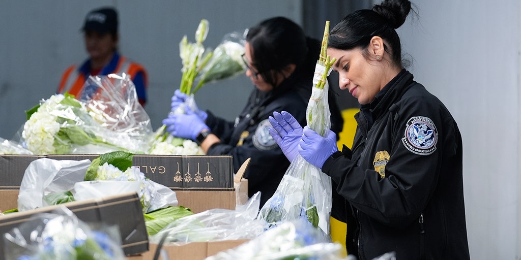 Millions of Valentine's Day flowers flown across United States layover in Miami - Vimarsana News