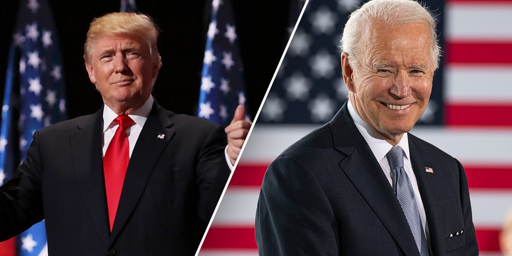 America up for 'really wild year' as allies, enemies evaluate presidential candidates: Defense expert - Vimarsana News