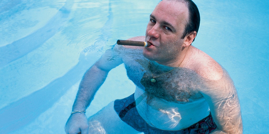 'Sopranos' star James Gandolfini swam in the ocean after drinking as troubled actor battled demons off set - Vimarsana News