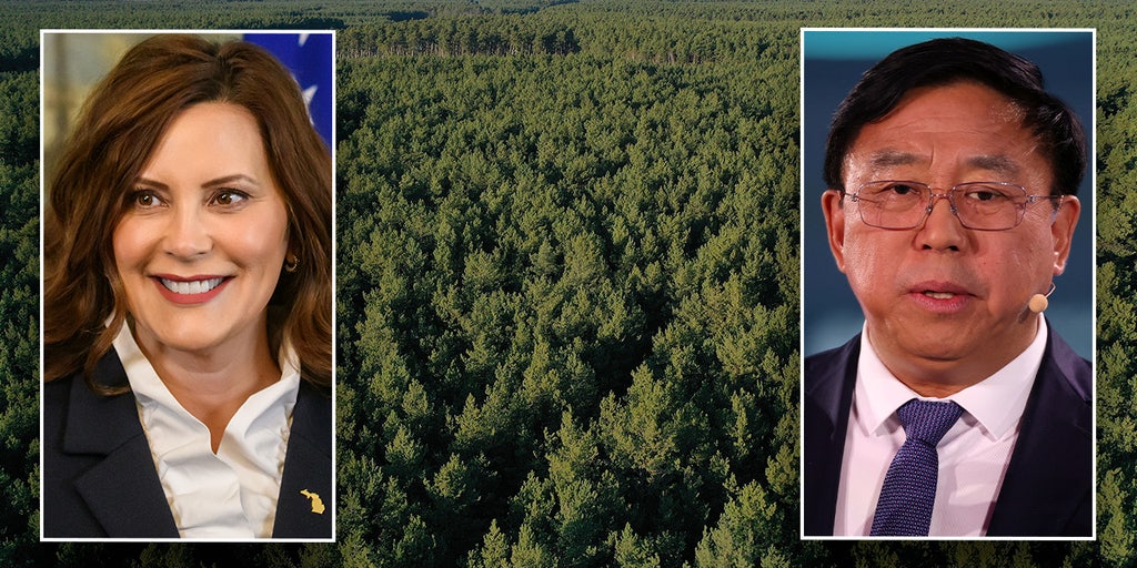 Whitmer-backed Chinese firm razing trees in Michigan to make way for EV plant - Vimarsana News