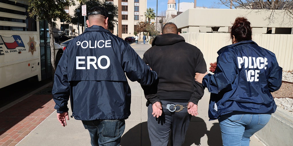 Indian man convicted of child sex offenses arrested by immigration authorities - Vimarsana News