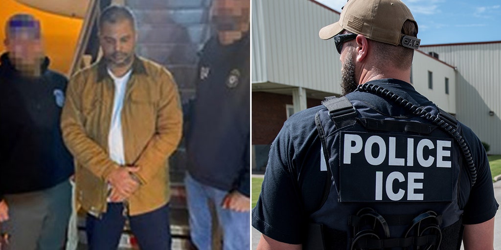 ICE deports illegal immigrant wanted for rape in Brazil who was released into US - Vimarsana News