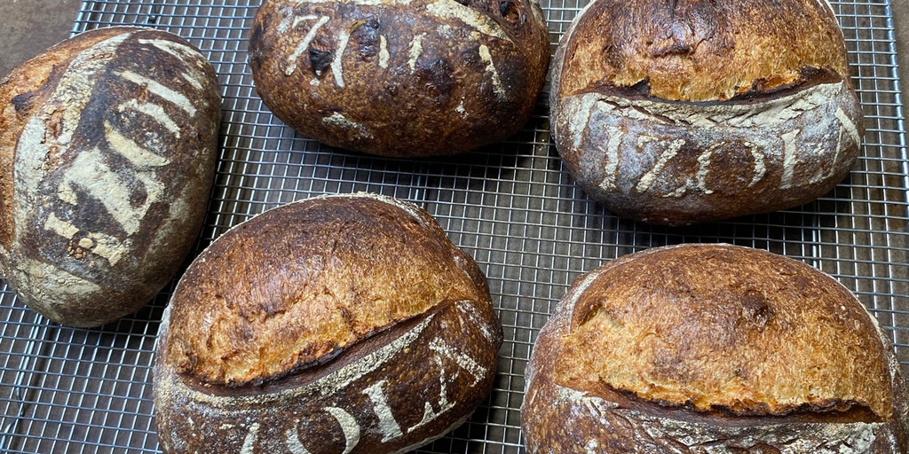 Sourdough mastery: Tips from bakers about the art and passion behind perfect loaves - Vimarsana News