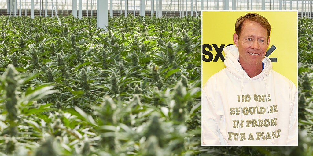 Ex-cop turned legal pot farmer claims he's bigger dealer than 'anyone sitting in prison' - Vimarsana News