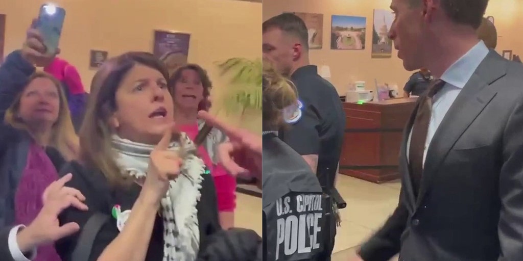 Sen. Hawley claps back as 'pro-terrorist' activist shouts 'Hamas will never be eliminated' - Vimarsana News