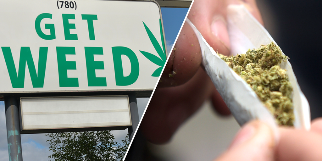 This woman suffered marijuana-psychosis. She says Bryn Spejcher and the man she killed were both victims - Vimarsana News