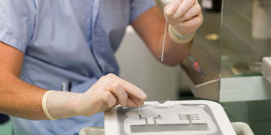 Alabama court rules couples can file wrongful death suit after embryos were dropped, 'killing them' - Vimarsana News