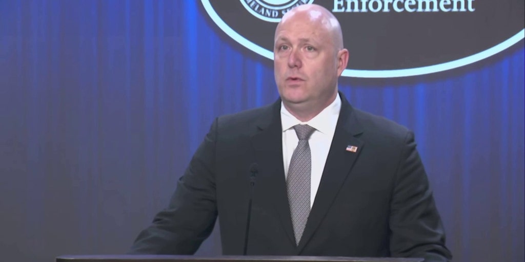 Terrorist who crossed border allowed to roam US for nearly a year, arrested only after ICE 'became aware' - Vimarsana News