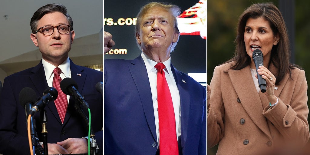 Trump, Johnson talk 2024 at Mar-a-Lago as Haley vows to stay in GOP primary - Vimarsana News