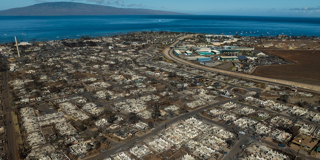 Maui police confirm identity of 101st wildfire victim, a 76-year-old who boated from California in the 1970s - Vimarsana News