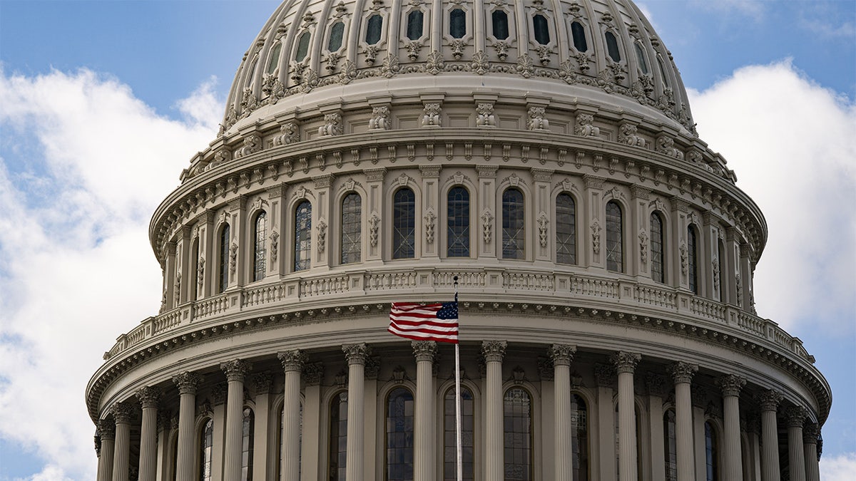 The US Capitol