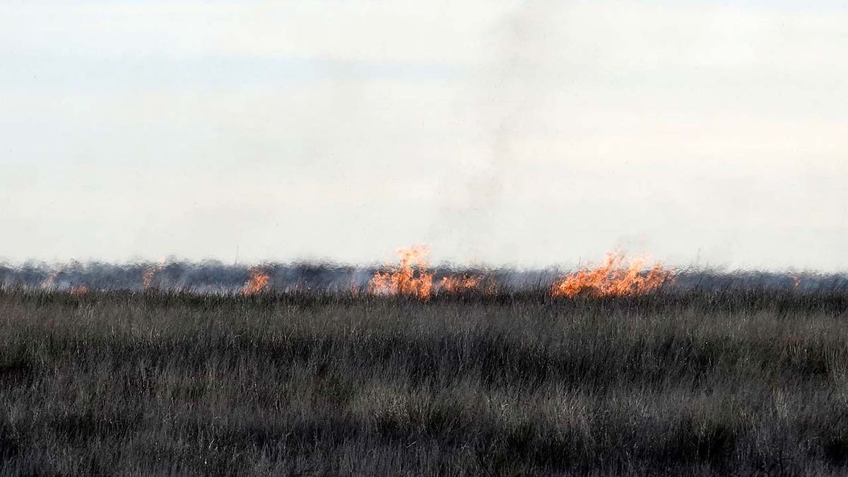 Texas Wildfire Ravages Nearly 900,000 Acres In Second Largest Fire In ...