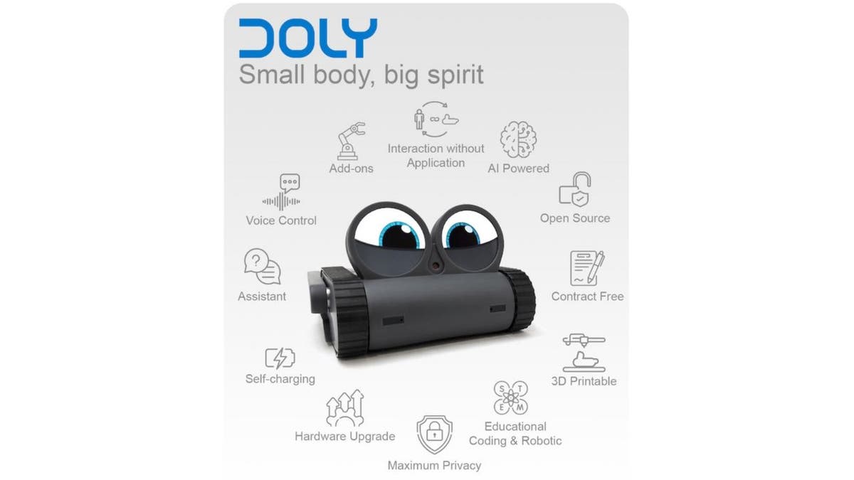 Doly the robot 6